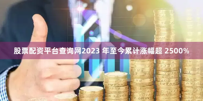 股票配资平台查询网2023 年至今累计涨幅超 2500%